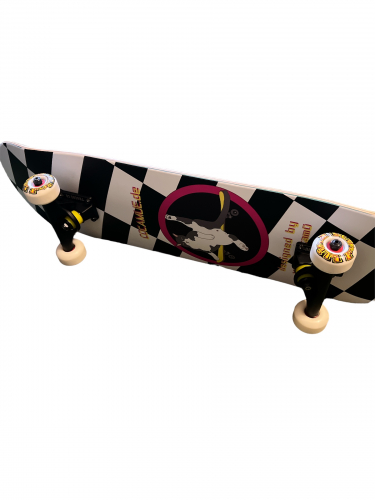 COCAMÜ VroniXCocamü Skateboard komplett 8.0